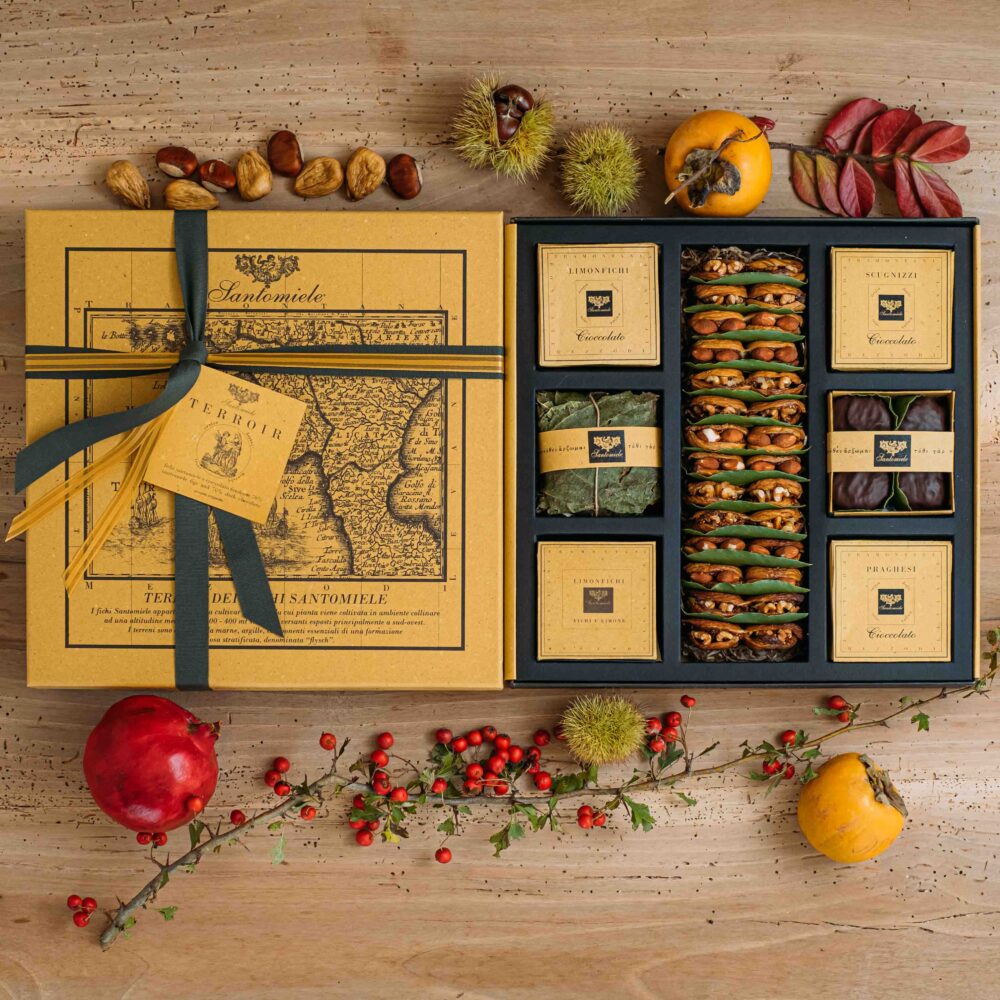 PiuunoStudio_Ficheria_Settembre25-96 Il Terroir Santomiele