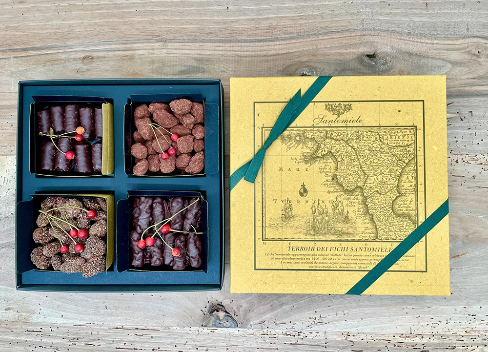 Elea Santomiele Elea Santomiele